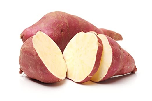 CAMOTE KG