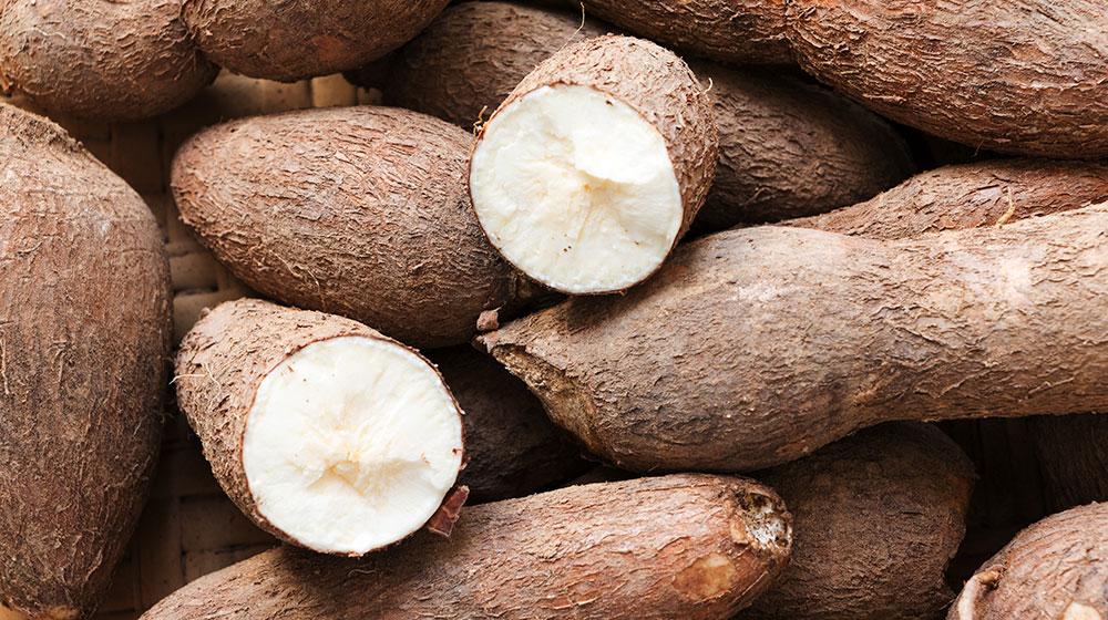 YUCA KG
