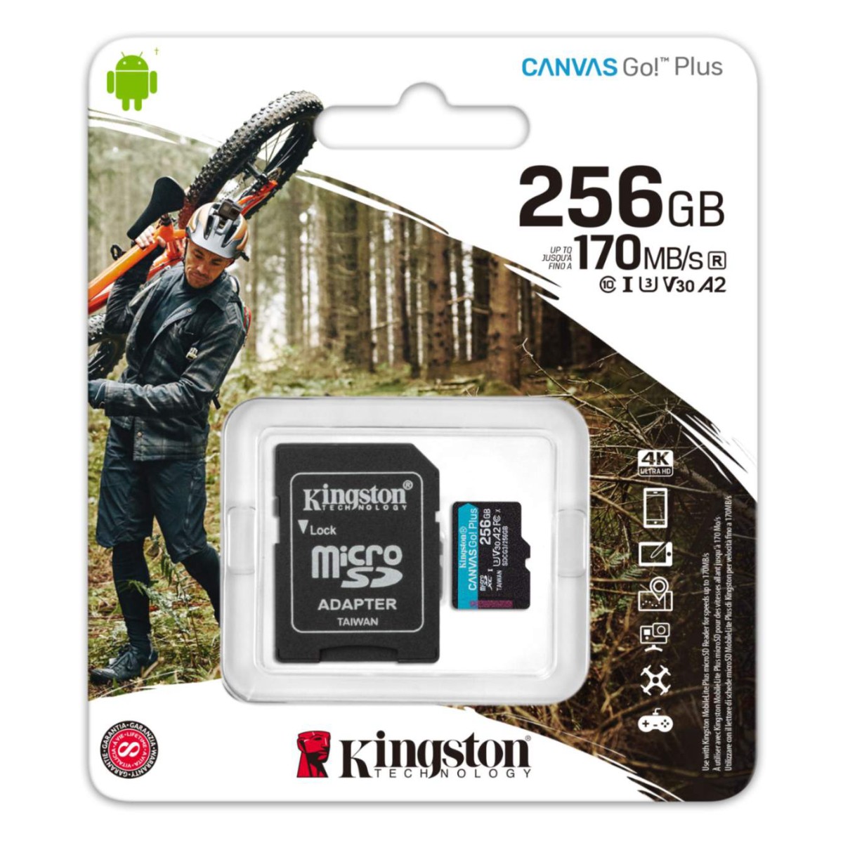 Memoria micro SD 256 GB