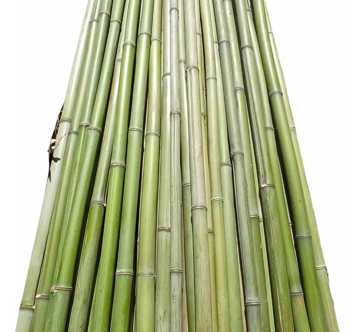Palanca de Bamboo de 5 metros