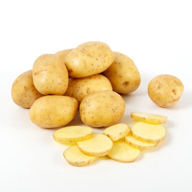 PAPA BLANCA KG