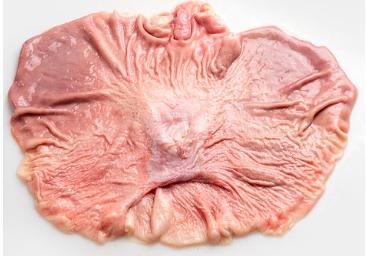 Estómago limpio de cerdo Kg