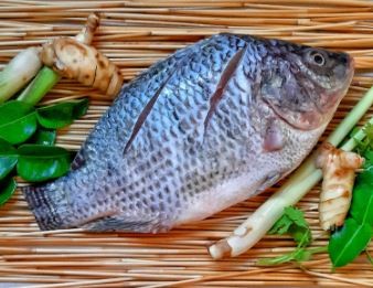 MOJARRA TILAPIA KG